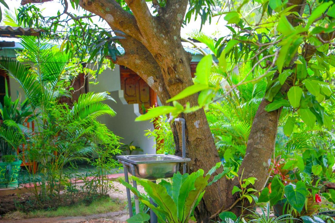 Sun Flower Homestay Sigirîya Extérieur photo