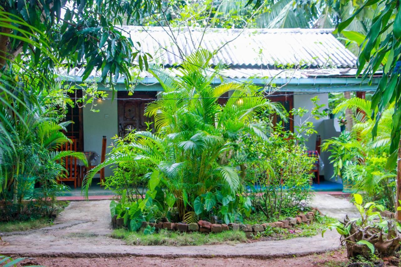 Sun Flower Homestay Sigirîya Extérieur photo