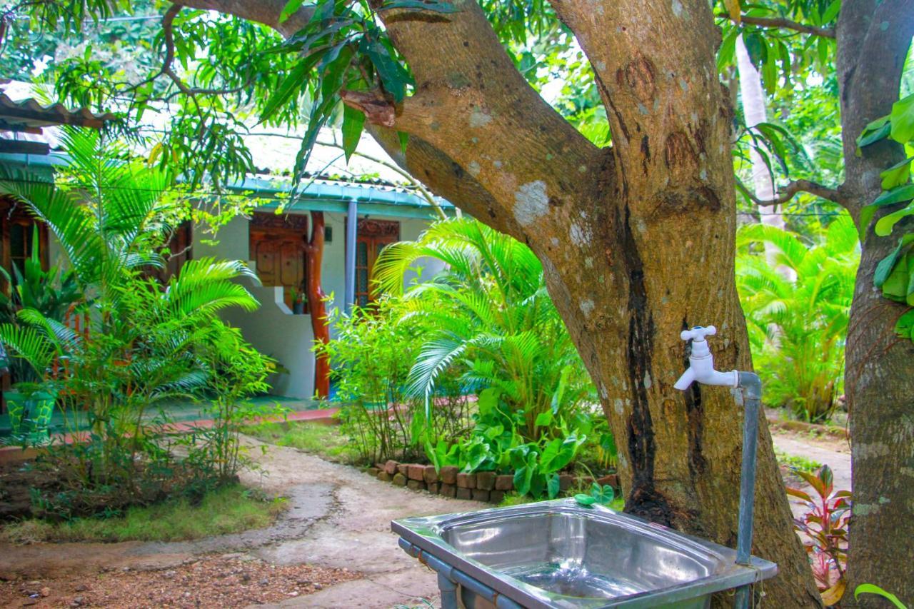 Sun Flower Homestay Sigirîya Extérieur photo