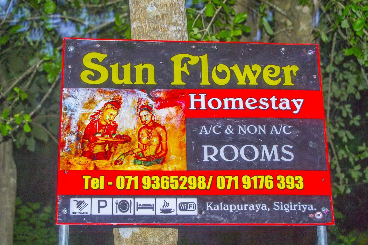 Sun Flower Homestay Sigirîya Extérieur photo